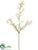 Silk Plants Direct Gypsophila Spray - White - Pack of 12