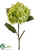 Hydrangea Spray - Green Two Tone - Pack of 12