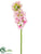 Hyacinth Spray - Lilac Pink - Pack of 12