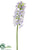 Hyacinth Spray - Lavender Cream - Pack of 12