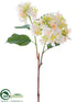 Silk Plants Direct Hydrangea Spray - Peach - Pack of 12