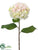 Silk Plants Direct Hydrangea Spray - Cream Pink - Pack of 12