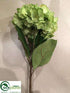 Silk Plants Direct Hydrangea Spray - Lime - Pack of 12