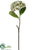 Hydrangea Spray - Green Two Tone - Pack of 12