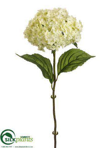 Hydrangea Spray - Cream - Pack of 12