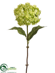 Hydrangea Spray - Green Two Tone - Pack of 12