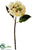 Hydrangea Spray - Apricot - Pack of 12