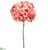 Hydrangea Spray - Coral - Pack of 12