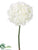 Hydrangea Spray - White - Pack of 12