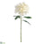 Hydrangea Spray - Ivory - Pack of 12