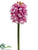 Hyacinth Spray - Rose Pink - Pack of 12
