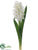 Hyacinth Spray - White - Pack of 12