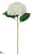 Hydrangea Spray - Ivory - Pack of 12