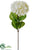 Hydrangea Spray - Ivory - Pack of 12