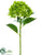 Hydrangea Spray - Green - Pack of 6
