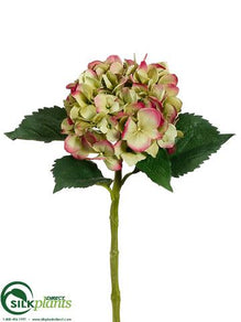 Large Hydrangea Spray - Green Fuchsia - Pack of 12