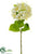 Silk Plants Direct Hydrangea Spray - Vanilla - Pack of 6