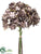 Hydrangea Bundle - Brown Gray - Pack of 12