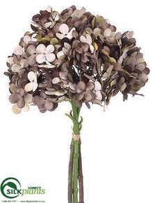 Hydrangea Bundle - Brown Gray - Pack of 12