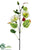 Hibiscus Spray - Cream Green - Pack of 12