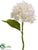 Hydrangea Spray - Cream - Pack of 12