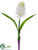 Silk Plants Direct Hyacinth Spray - White - Pack of 12