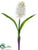 Hyacinth Spray - White - Pack of 12