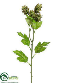 Wild Hops Spray - Green Purple - Pack of 12