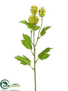 Wild Hops Spray - Green - Pack of 12