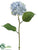 Hydrangea Spray - Blue Delphinium - Pack of 12