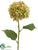 Hydrangea Spray - Green - Pack of 12