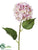 Hydrangea Spray - Lilac Cream - Pack of 12
