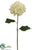 Hydrangea Spray - White - Pack of 12