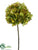 Hydrangea Spray - Green Avocado - Pack of 12