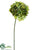 Hydrangea Spray - Green - Pack of 6