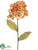 Hydrangea Spray - Amber - Pack of 12