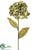 Hydrangea Spray - Avocado Green - Pack of 12