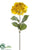 Silk Plants Direct Hydrangea Spray - Mustard - Pack of 12