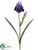 Bearded Iris Spray - Purple Blue - Pack of 12