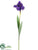 Iris Spray - Purple - Pack of 36