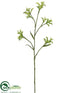 Silk Plants Direct Kangaroo Paw Spray - Lime Green - Pack of 12