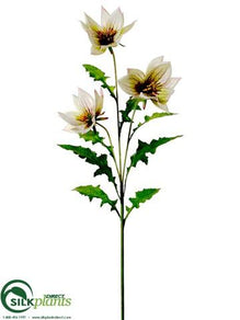 Tropical Lantern Spray - White Burgundy - Pack of 12