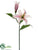 Lily Spray - Pink - Pack of 12