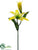 Lily Spray - Yellow - Pack of 12