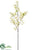 Rain Lily Spray - Beige Green - Pack of 12