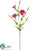 Lisianthus Spray - Rubrum - Pack of 12