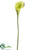 Mini Calla Lily Spray - Green - Pack of 12