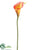 Mini Calla Lily Spray - Orange - Pack of 12