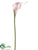 Mini Calla Lily Spray - Pink - Pack of 12