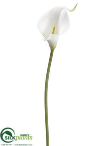 Mini Calla Lily Spray - White - Pack of 12